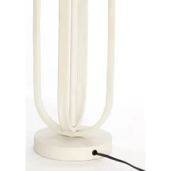Aster 55cm