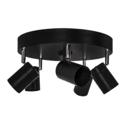 Aurora 5 spotlight
