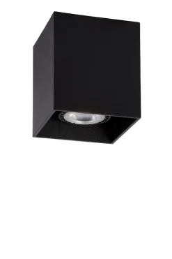 Bodi spotlight