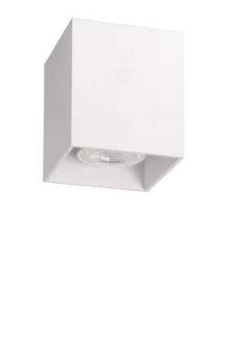 Bodi spotlight