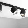 Bot 4 spotlight
