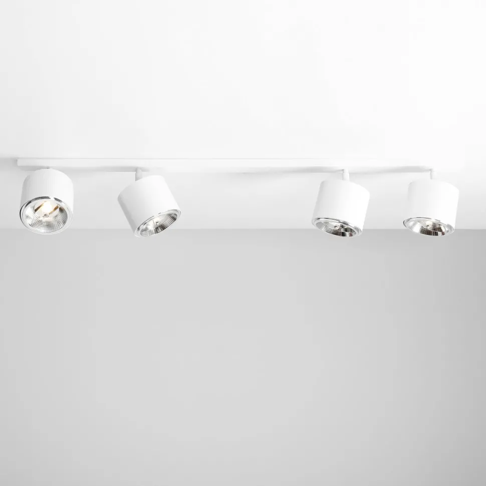 Bot 4 spotlight