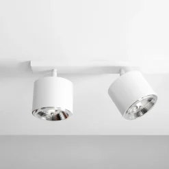 Bot 4 spotlight