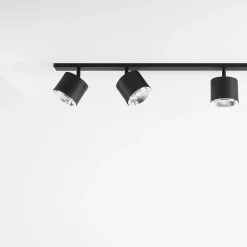 Bot 6 spotlight