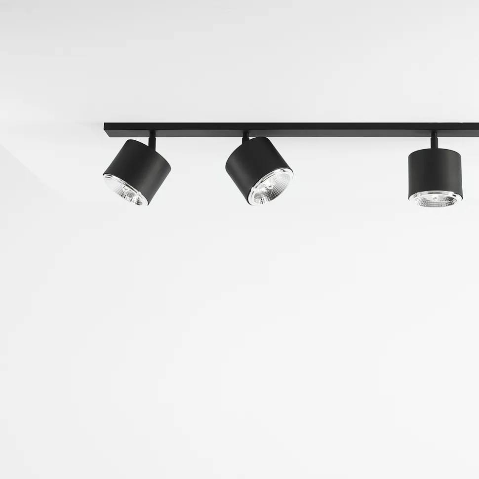 Bot 6 spotlight