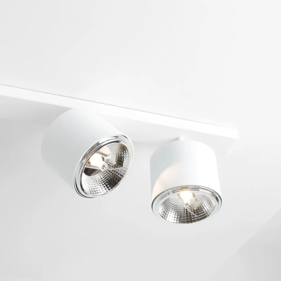 Bot 6 spotlight