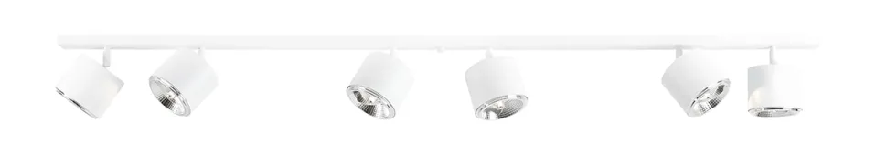 Bot 6 spotlight