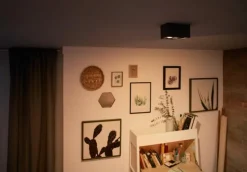 Box 2 spotlight