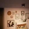 Box spotlight