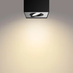 Box spotlight