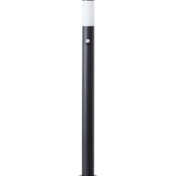 Dody 110cm pollare