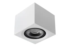 Fedler spotlight