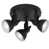 Focus 3 spotlight