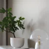 Fungo 30cm bordslampa