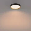 Hanno Ø38 plafond