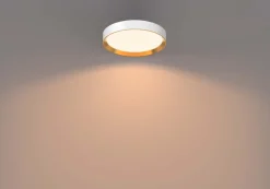 Hanno Ø38 plafond