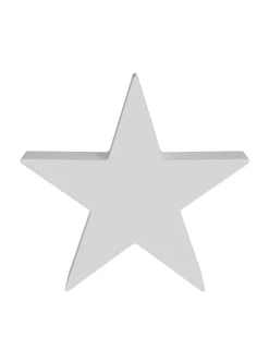 Ichiban Ø48
