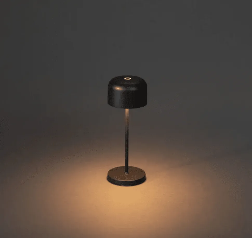 Lille 20cm portabel