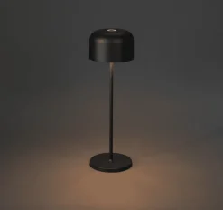 Lille 36cm portabel