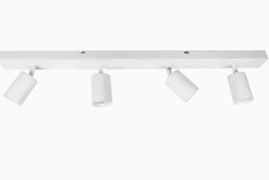 Line 4 spotlight