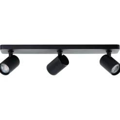 Marty 3 spotlight