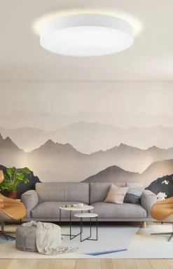 Pasteri Ø76 plafond