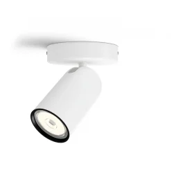 Pongee spotlight