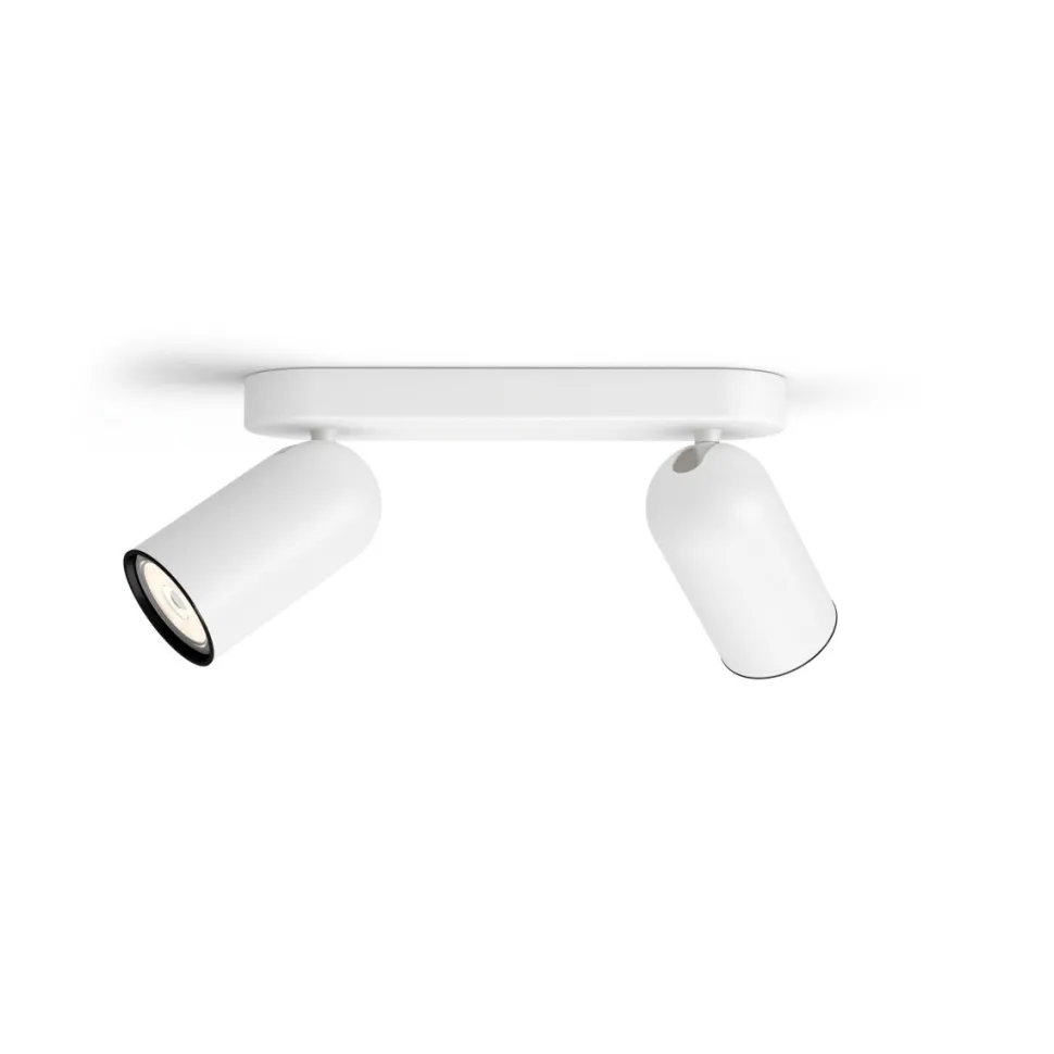 Pongee 2 spotlight