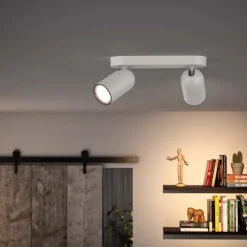 Pongee 2 spotlight