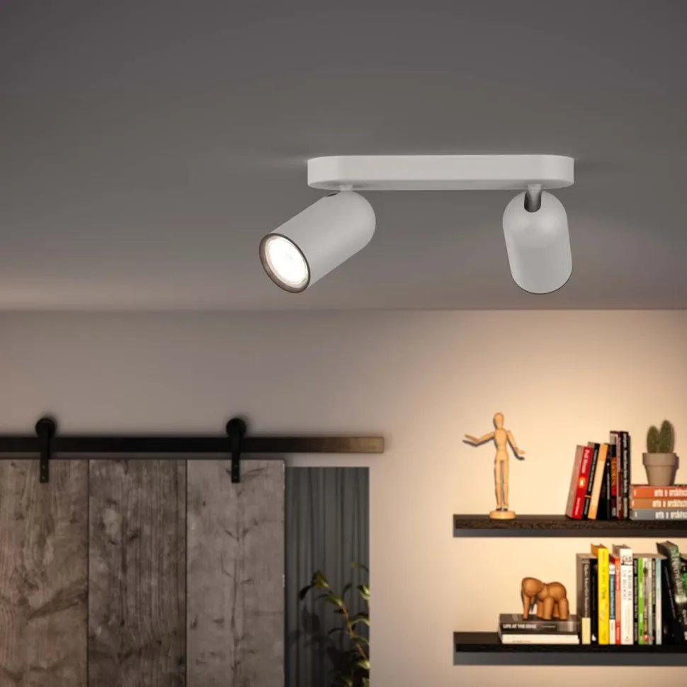 Pongee 2 spotlight
