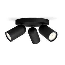 Pongee 3 spotlight