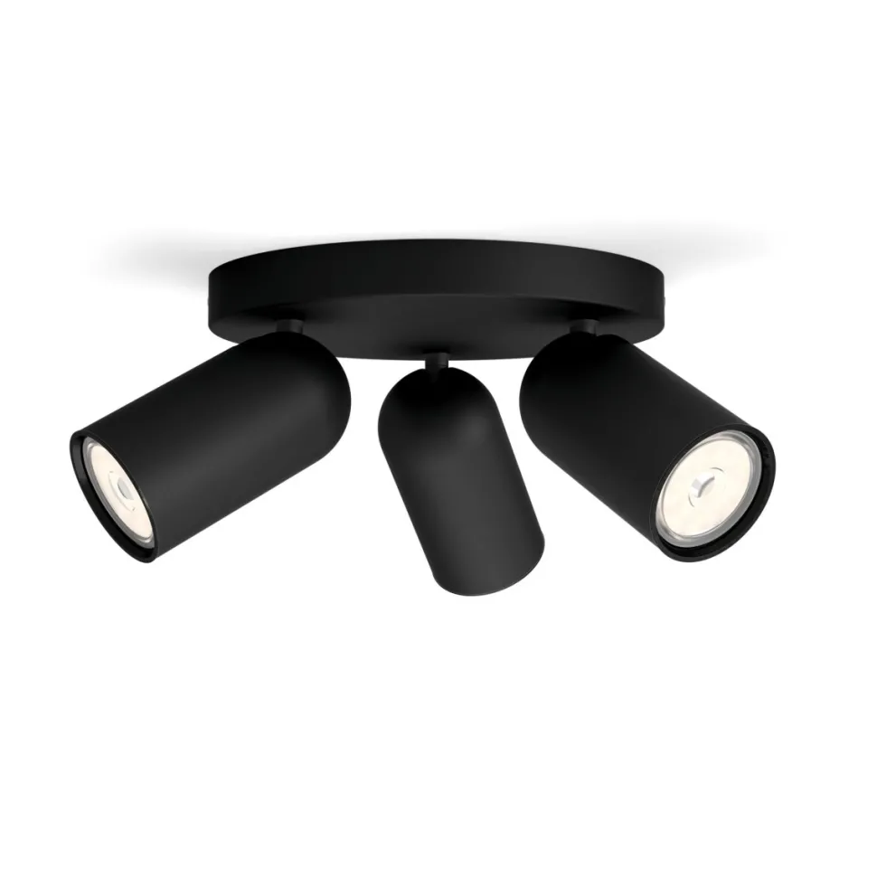 Pongee 3 spotlight