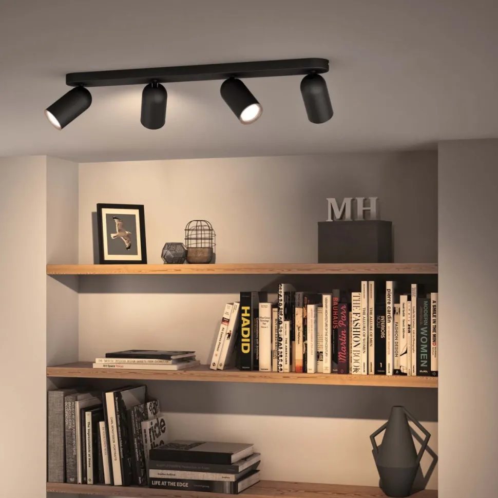 Pongee 4 spotlight