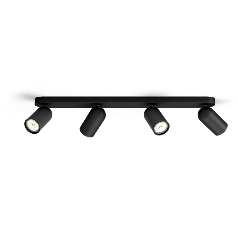 Pongee 4 spotlight