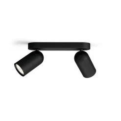 Pongee 2 spotlight