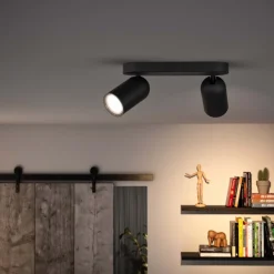 Pongee 2 spotlight