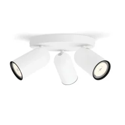 Pongee 3 spotlight