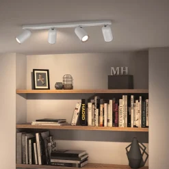 Pongee 4 spotlight