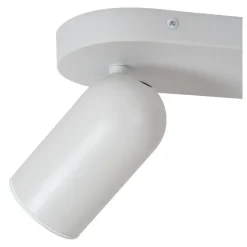 Punch 2 spotlight
