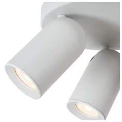 Punch 3 spotlight