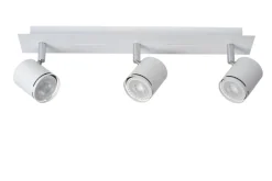 Rilou 3 spotlight