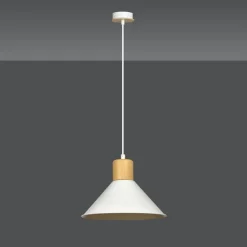Rowen Ø25 taklampa