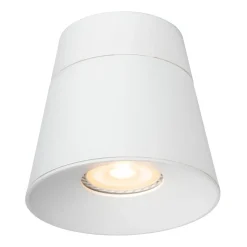 Trigono spotlight