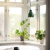 Tulippa Ø17 fönsterlampa