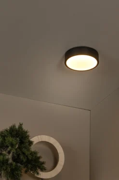 Unar Ø20 plafond