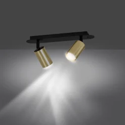 Zen 2 spotlight